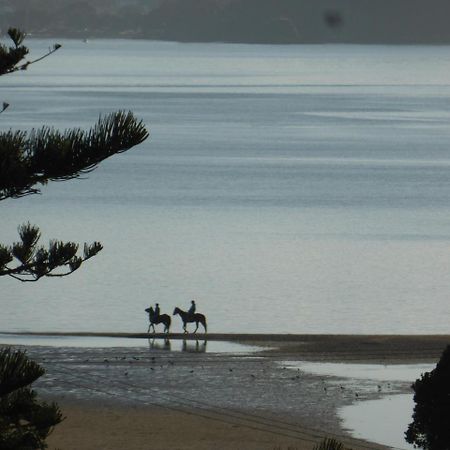 Changing Tides Bnb Paihia Kültér fotó