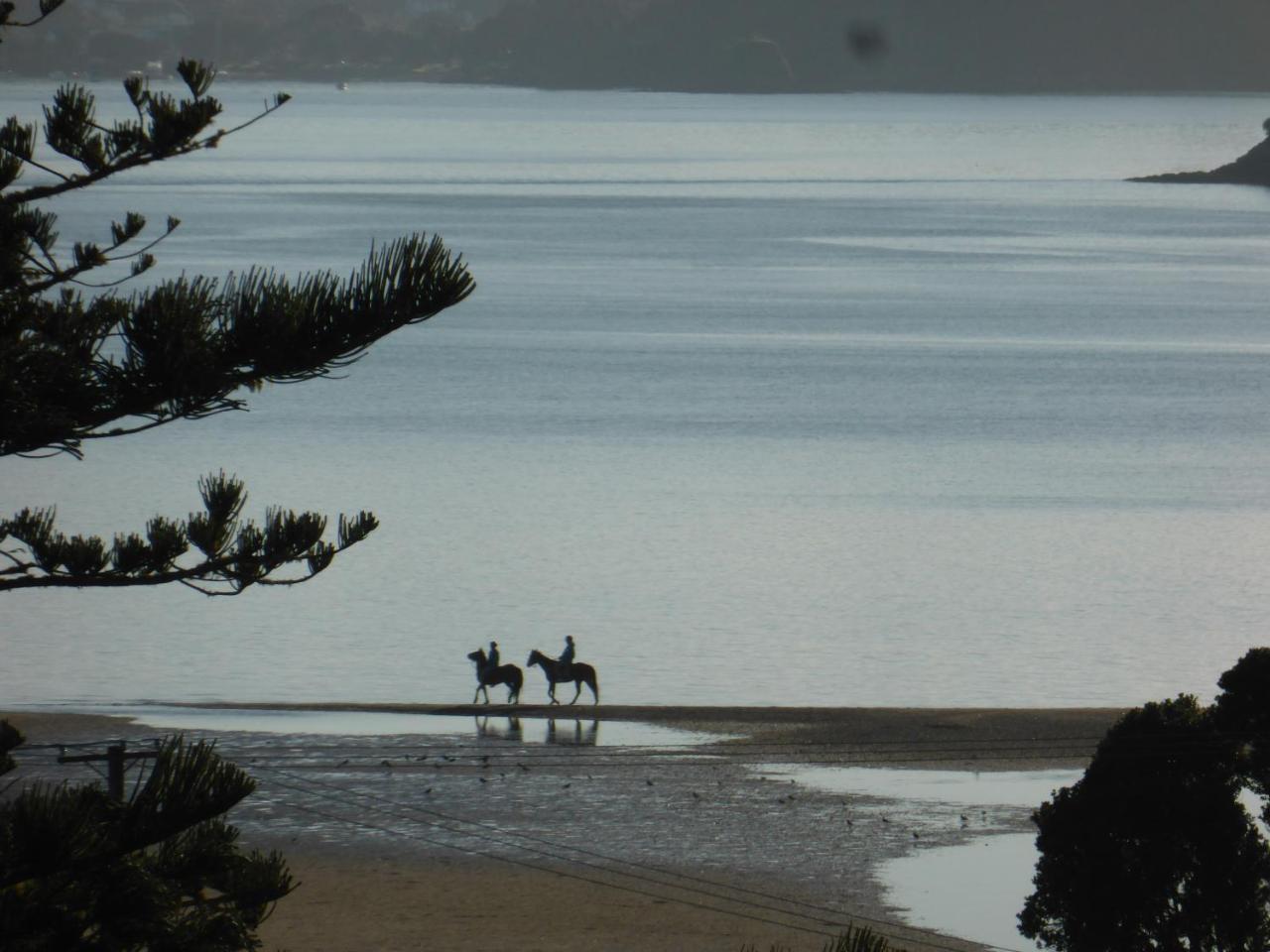 Changing Tides Bnb Paihia Kültér fotó